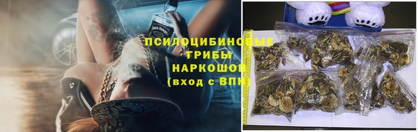 хмурый Карпинск