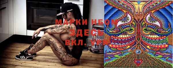 ПСИЛОЦИБИНОВЫЕ ГРИБЫ Каменногорск