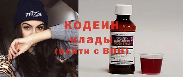 хмурый Карпинск