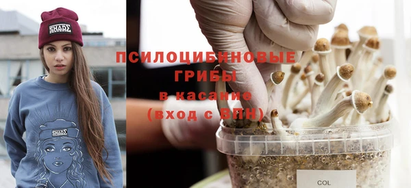 хмурый Карпинск